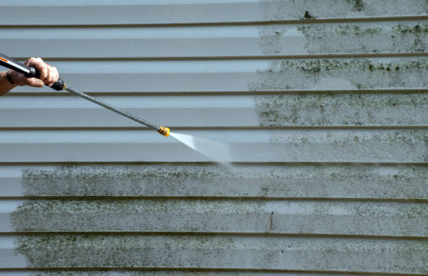 Trusted Pasadena, TX Pressure Washing Services Experts